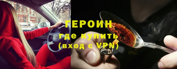 гидра Надым