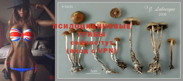 амф Михайловск