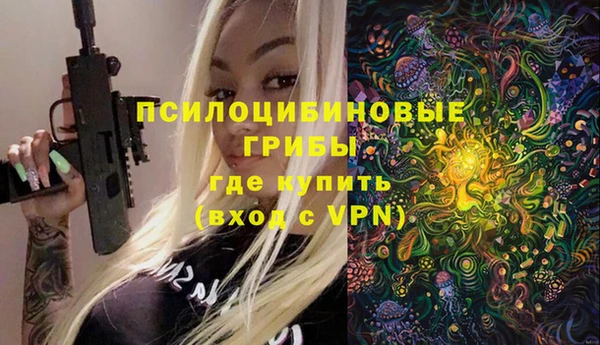 гидра Надым