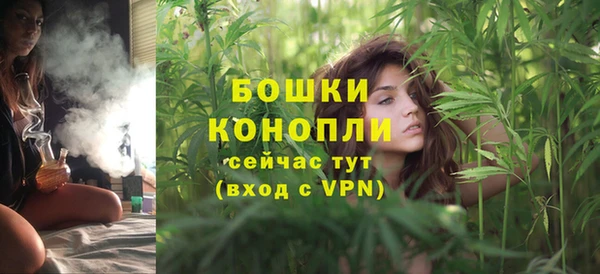 амф Михайловск