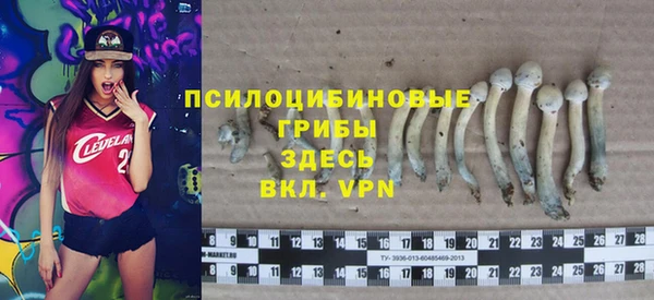гидра Надым