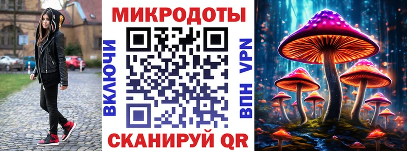 Галлюциногенные грибы Psilocybe  где купить наркоту  Анапа 