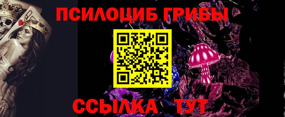 Галлюциногенные грибы Psilocybe Анапа
