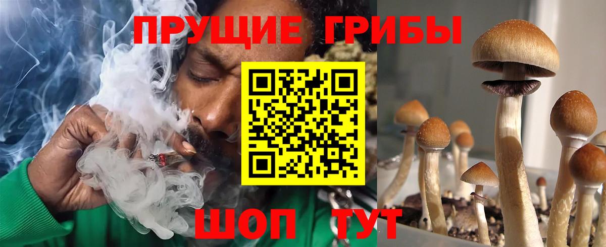 Галлюциногенные грибы MAGIC MUSHROOMS  Вход с VPN  Анапа  Галлюциногенные грибы Psilocybe 